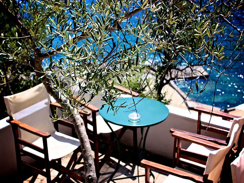 Olive branches over a round green table and two canvas chairs, deep blue water below