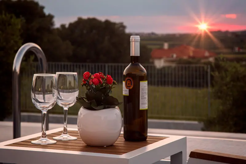 Two wine glasses, a potted flower and a bottle of white on a low table, the sun setting through trees behind
