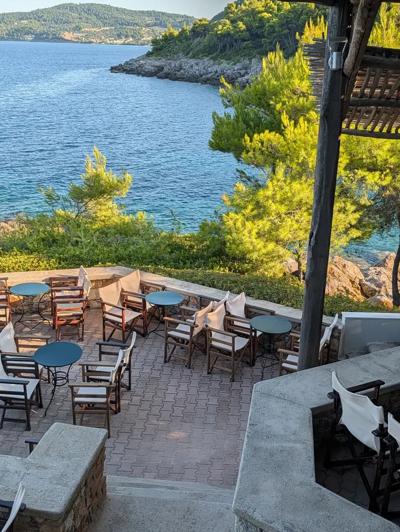 The terrace seen from above, tables and chairs on the paving with pines and the turquoise water of the cove behind